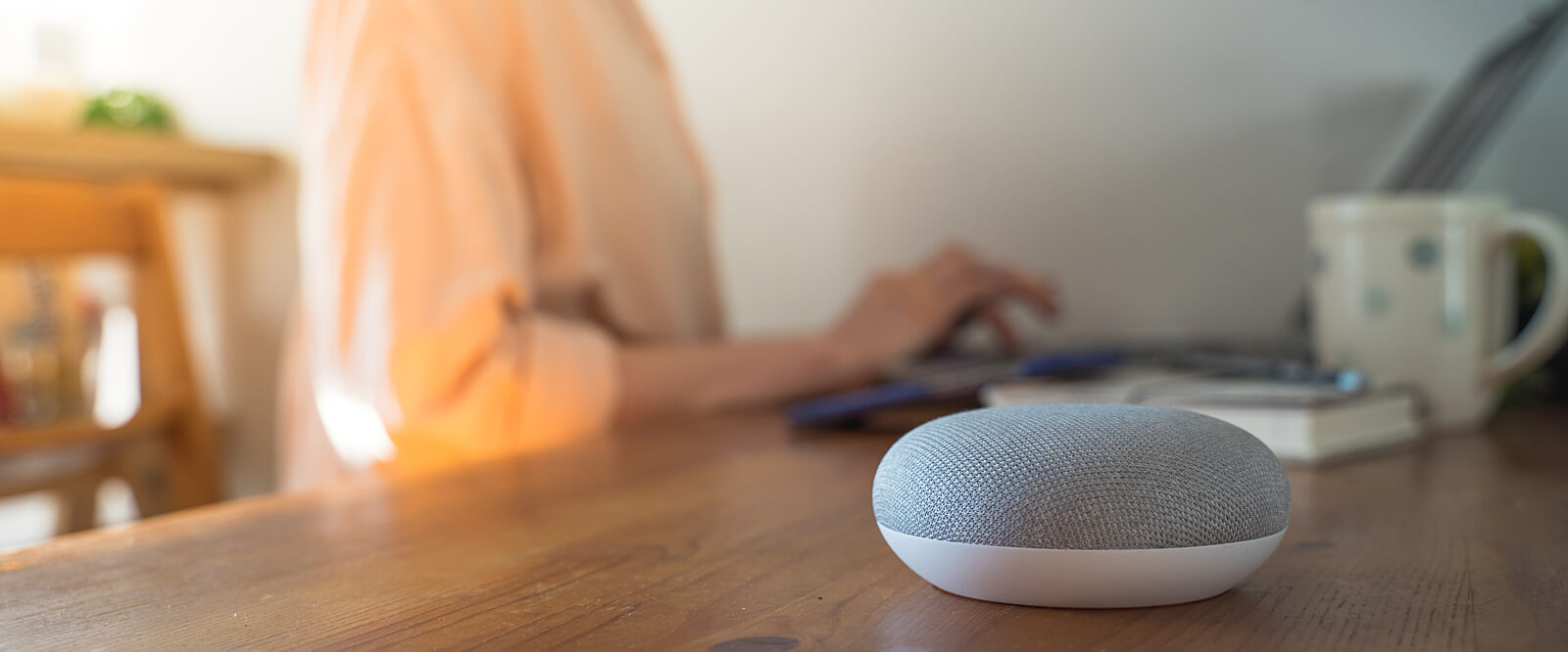 Which smart home systems work with Google Home Hestia Magazine