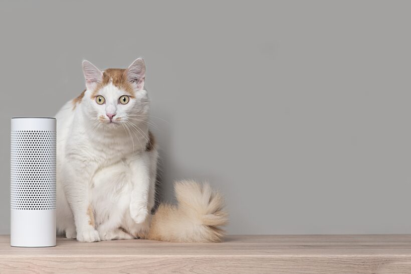 Help! My pet sets off my motion sensors